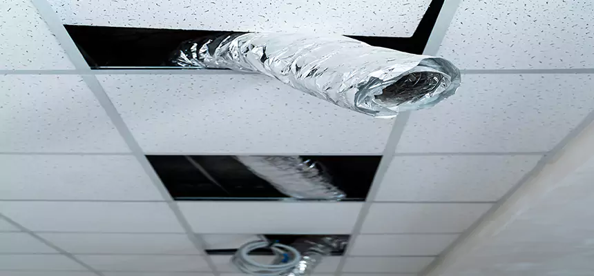 Affordable HVAC Sanitizing After Pest Removal in Landover