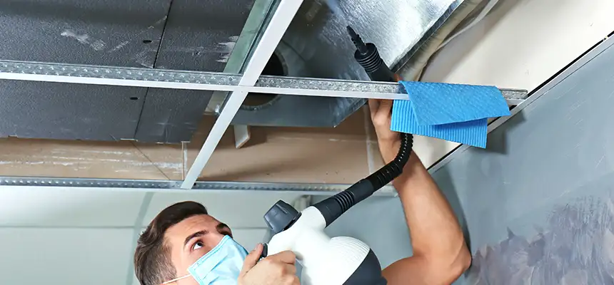Our Air Duct Rodent Removal Services in Landover, MD