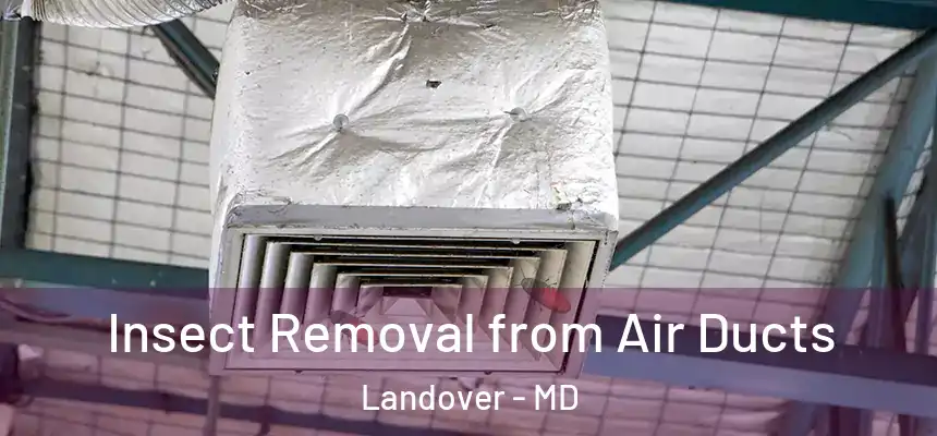  Insect Removal from Air Ducts Landover - MD