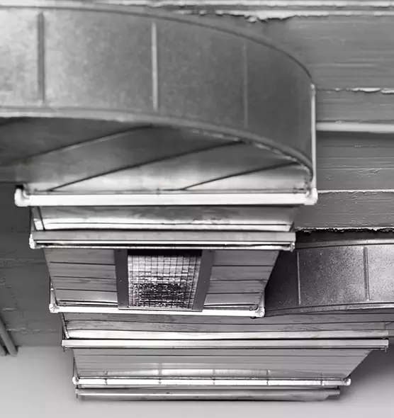 Professional Air Duct Pest Removal in Landover, MD