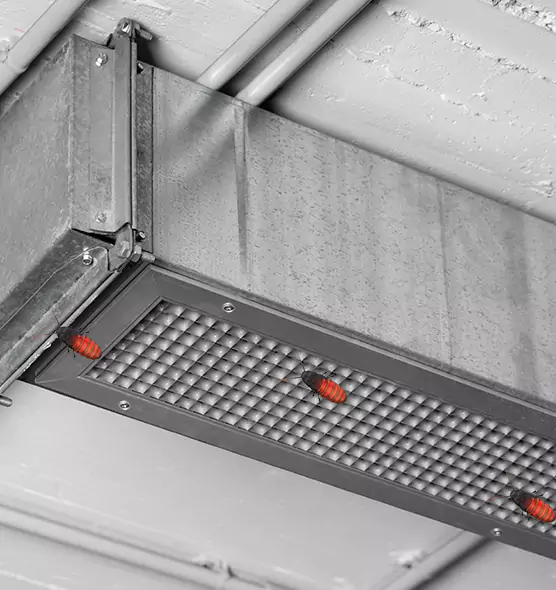 Affordable Insect Removal from Air Ducts in Landover, MD