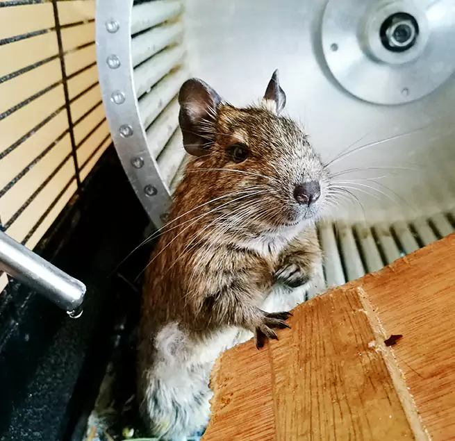 Why Homeowners & Businesses Trust Us Landover, MD