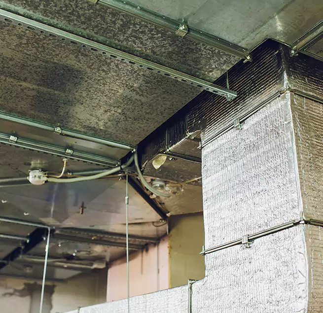 Why Homeowners & Businesses Trust Us in Landover, MD?